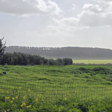 227a54ac-2911-482b-a0e5-7b757bdc96d7