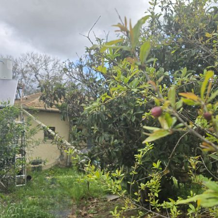 47675f50-f8ff-4c60-8305-f49678e4e179