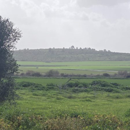 70752e39-0167-4583-a269-93a5f53c3dba