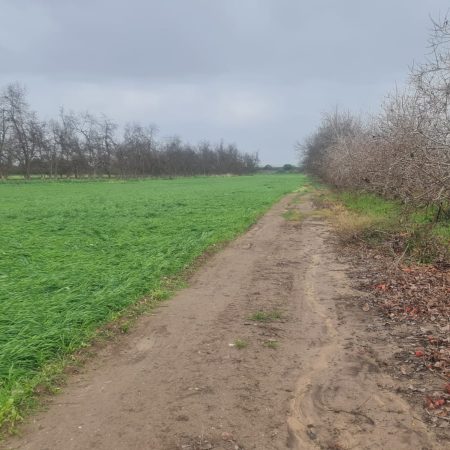 WhatsApp Image 2025-02-07 at 11.18.11