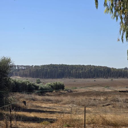 WhatsApp Image 2025-10-30 at 10.34.31_2268a743