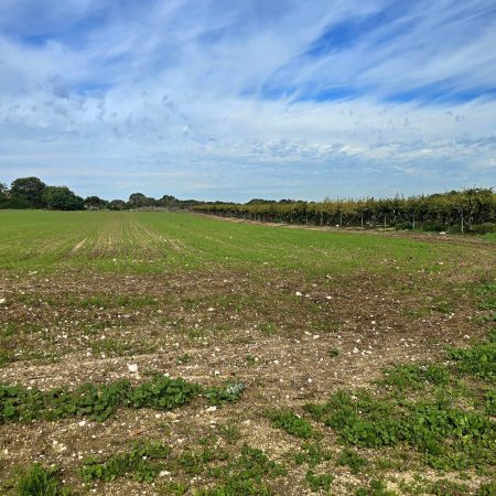 WhatsApp Image 2025-12-21 at 12.36.45