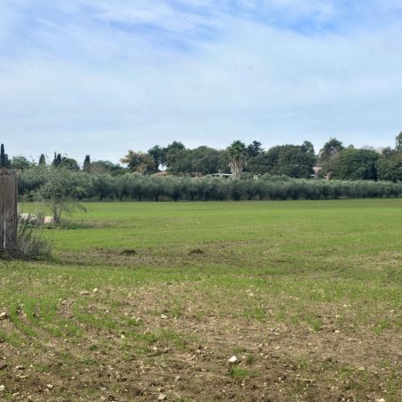 WhatsApp Image 2025-12-21 at 12.37.30