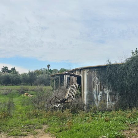 WhatsApp Image 2025-12-21 at 12.37.58