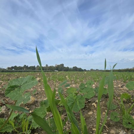 WhatsApp Image 2025-12-21 at 12.38.37