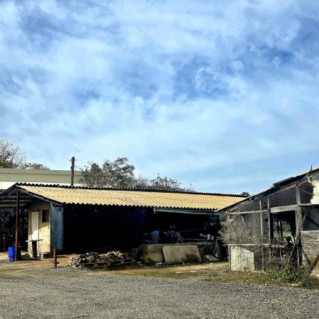 WhatsApp Image 2025-12-21 at 12.40.03