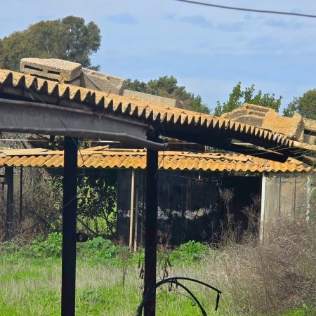 WhatsApp Image 2025-12-21 at 12.40.46