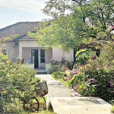 WhatsApp Image 2026-01-07 at 12.38.03