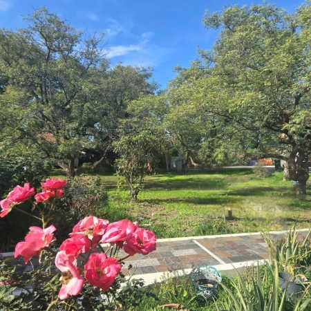 WhatsApp Image 2026-01-07 at 12.39.57