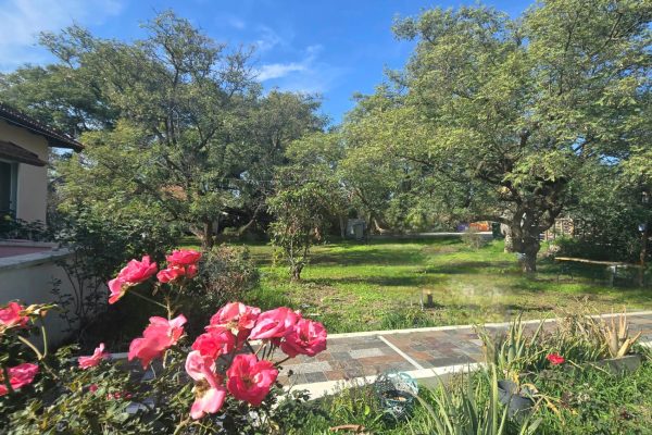 WhatsApp Image 2026-01-07 at 12.39.57