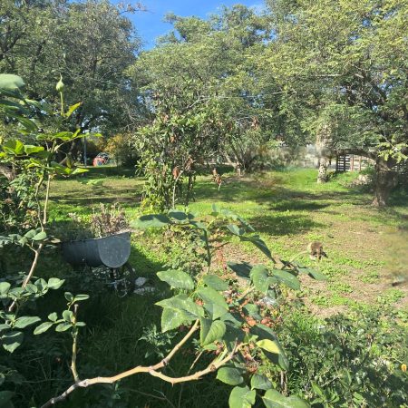 WhatsApp Image 2026-01-07 at 12.41.09