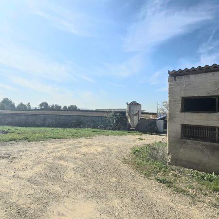 WhatsApp Image 2026-01-07 at 12.41.29