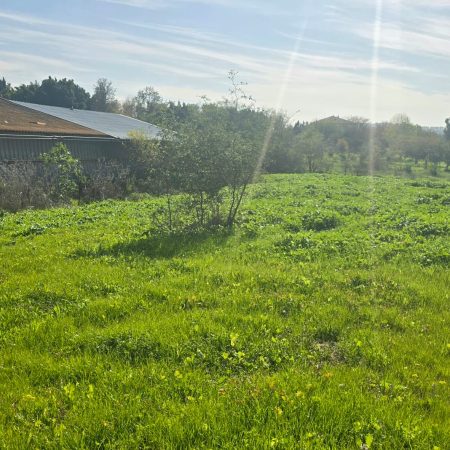 WhatsApp Image 2026-01-07 at 12.45.37