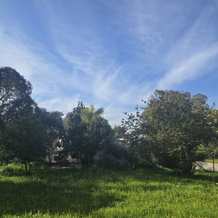 WhatsApp Image 2026-01-07 at 13.32.04