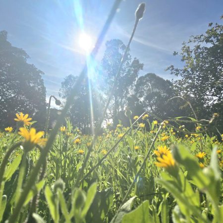 WhatsApp Image 2026-01-07 at 13.32.15