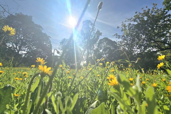 WhatsApp Image 2026-01-07 at 13.32.15