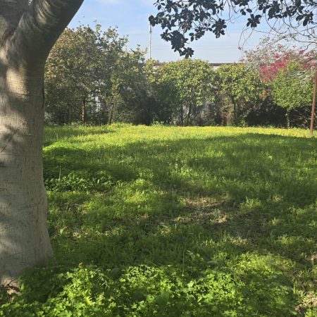 WhatsApp Image 2026-01-07 at 13.34.13