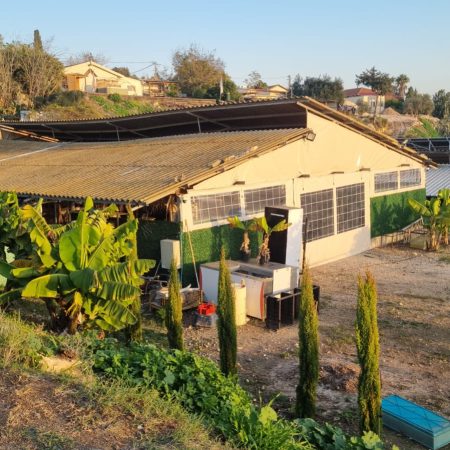 WhatsApp Image 2026-01-07 at 16.23.27