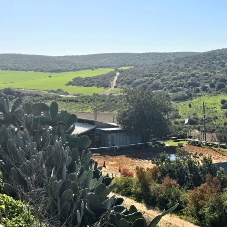 WhatsApp Image 2026-01-11 at 15.49.21