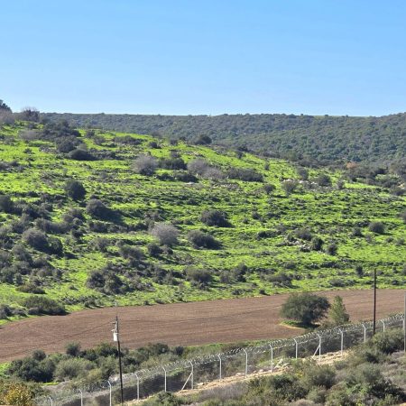 WhatsApp Image 2026-01-11 at 15.49.49