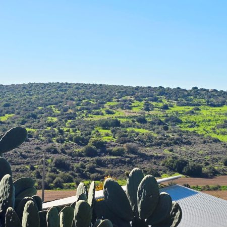 WhatsApp Image 2026-01-11 at 15.51.46