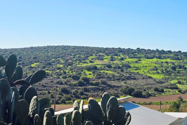 WhatsApp Image 2026-01-11 at 15.51.46