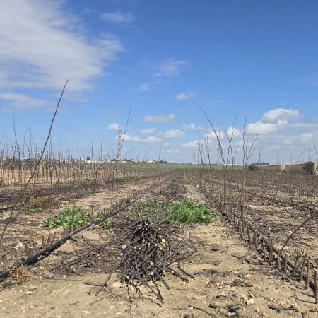 a2b96365-4500-46a9-b2c4-6048c87562c9