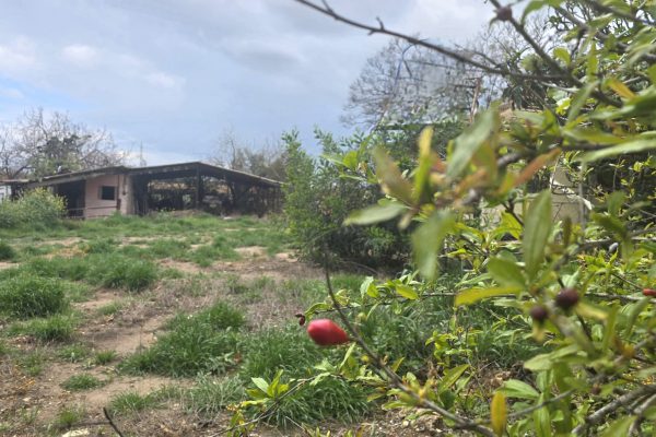 d13058d6-4877-4e4b-b159-68edcf44d1bb